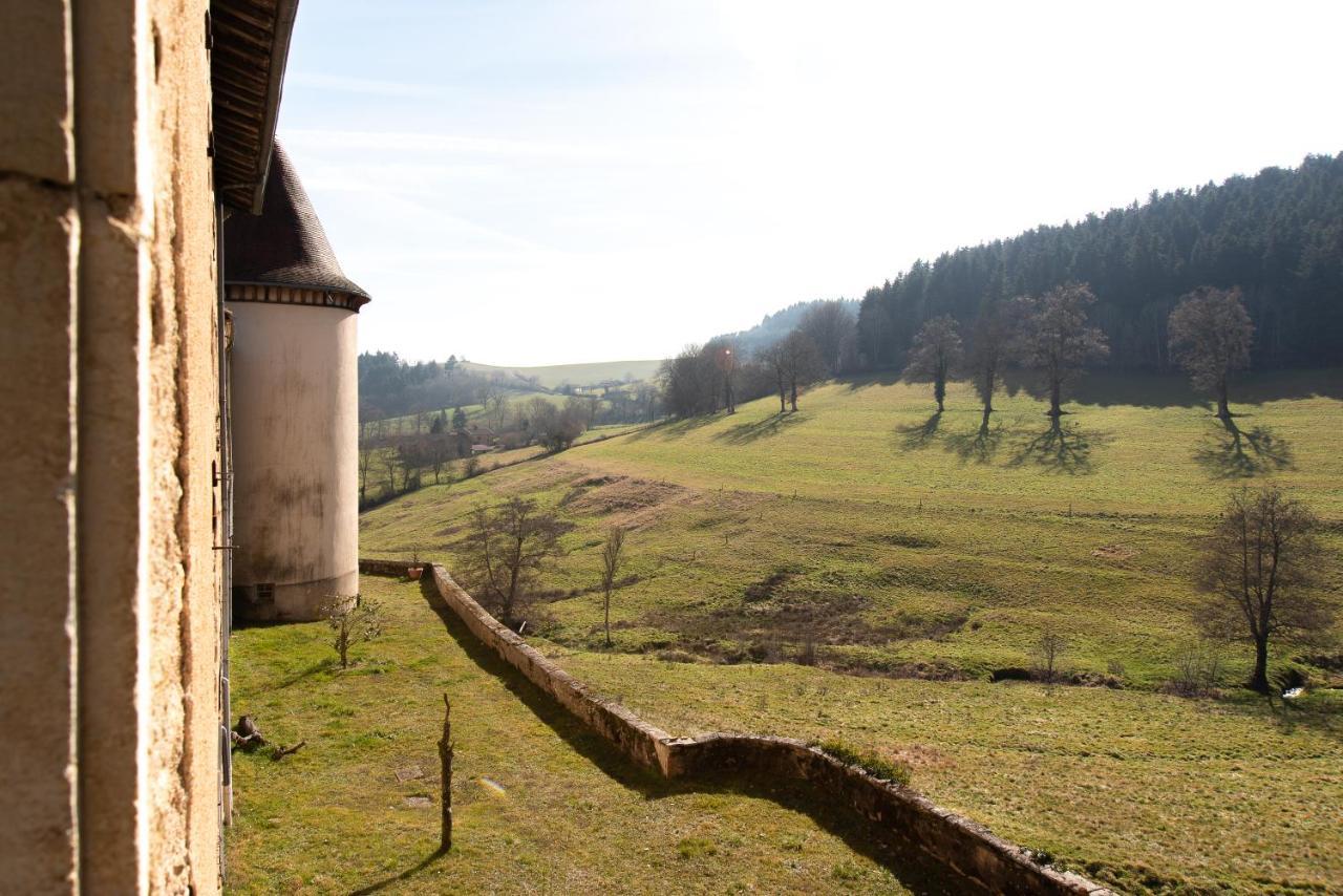 Chateau De Pramenoux Lamure-sur-Azergues Extérieur photo