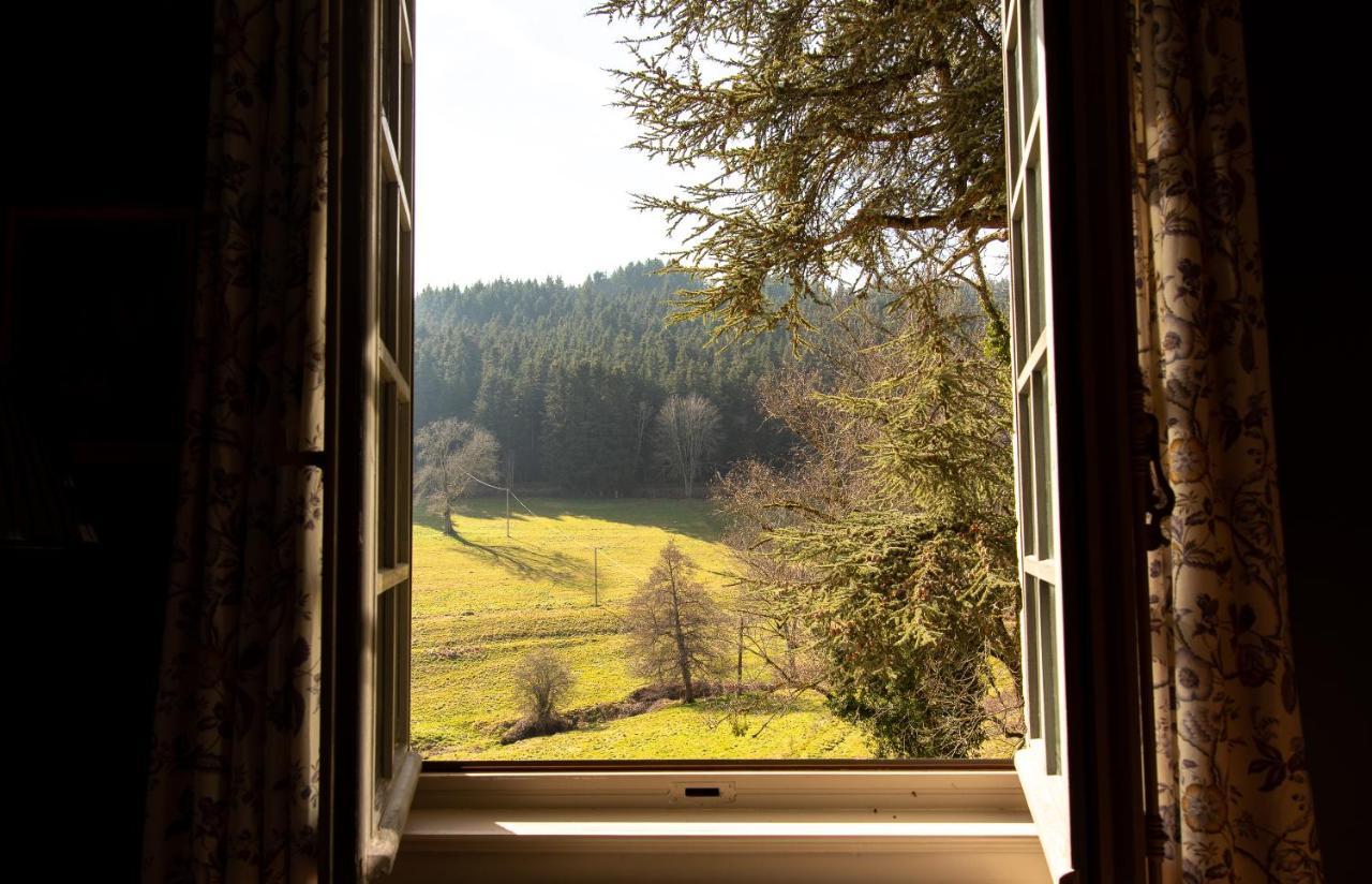 Chateau De Pramenoux Lamure-sur-Azergues Extérieur photo